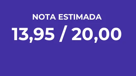 Trecho da análise com a nota estimada